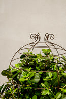 Rankturm VAZA Rankgitter Rankhilfe Obelisk Rankgerüst Metall Eisen mit Edelrost Staudenhalter in drei Größen