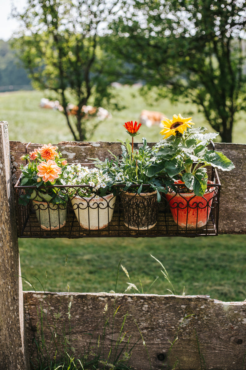 Blumenkasten BALCONI Metall Blumenkorb H/B/T 18,5/64/19,5 cm Eisen, dunkelrostfarben lackiert zur Befestigung am Zaun Balkongeländer länglich rechteckig