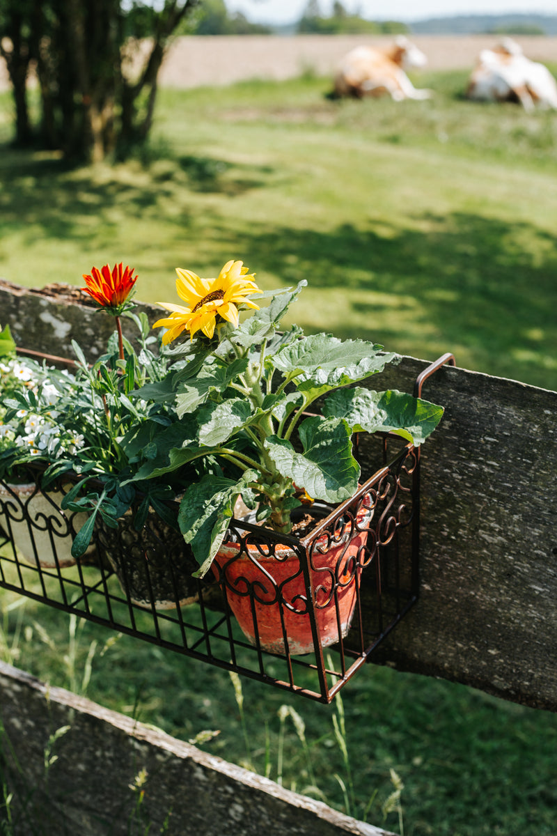 Blumenkasten BALCONI Metall Blumenkorb H/B/T 18,5/64/19,5 cm Eisen, dunkelrostfarben lackiert zur Befestigung am Zaun Balkongeländer länglich rechteckig