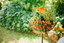 Pflanzschale LINA Pflanzkorb Blumenschale auf Stab Blumentopfständer Pflanzgefäß halbrund Metall dunkelbraun lackiert mit Ständer und 3 Spießen H/dia 120/40 cm
