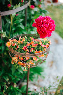 Pflanzschale MINA Pflanzkorb Blumenschale auf Stab Blumentopfständer Pflanzgefäß halbrund Metall dunkelbraun lackiert mit Ständer und 2 Spießen H/dia 80/25 cm