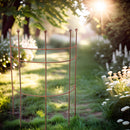 Staudenhalter Strauchhalter Staudenstütze Rankgerüst halbrund braun Rost Rankhilfe Metall Eisen Deko 60cm breit x 85cm hoch