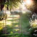 Staudenhalter Strauchhalter Staudenstütze Rankgerüst halbrund braun Rost Rankhilfe Metall Eisen Deko 50cm breit x 85cm hoch