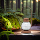 Laterne aus  Metall mit Edelrost mit abgerundetem Cracle Glas Kerzenhalter Rost Deko Leuchtfeuer Gartendeko Edelrost in zwei Größen