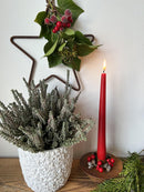 Kranz Zapfen Beeren rot braun für Gesteck Kerzenhalter Dekoration Herbst Advent Weihnachten 7cm Durchmesser