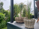 Pflanzschale Blumenschale Rattangeflecht Pflanzgefäß rund niedrig Rattan-Umrandung 18cm hoch 40cm Durchmesser