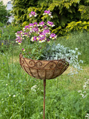 Pflanzschale Pflanzkorb Blumenschale auf Stab Blumentopfständer Pflanzgefäß rund Metall Eisen verrostet mit 3 Spießen 116cm hoch 30cm Durchmesser