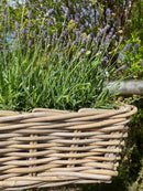 Balkonkasten Blumenschale Rattangeflecht Rattan Pflanzgefäß Blumenkasten rechteckig H/T/B: 15/21/46cm