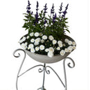 Schale rund abnehmbar auf Ständer Pflanzschale Aufsatz zum Befüllen Bepflanzen Metall hellgrau in drei Größen