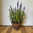 Schale Kerzenhalter Lotus Dekoschale mit Edelrost mit 3 Füßen Durchmesser: 24cm unten 30cm oben, Höhe 38cm Dekoobjekt