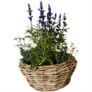 Pflanzschale Blumenschale Rattangeflecht Pflanzgefäß rund niedrig Rattan-Umrandung 18cm hoch 40cm Durchmesser