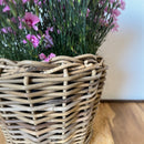 Pflanzschale Blumenschale Rattangeflecht Pflanzgefäß konisch Rattan-Umrandung 23cm hoch 32cm Durchmesser