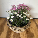 Pflanzschale Blumenschale Rattangeflecht Pflanzgefäß rund niedrig Rattan-Umrandung 18cm hoch 40cm Durchmesser