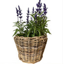 Pflanzschale Blumenschale Rattangeflecht Pflanzgefäß konisch Rattan-Umrandung 23cm hoch 32cm Durchmesser