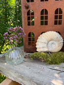 Glasvase AGNAR Vase Blumenvase Pressglas Rillen klein transparent H/dia: 9/9cm