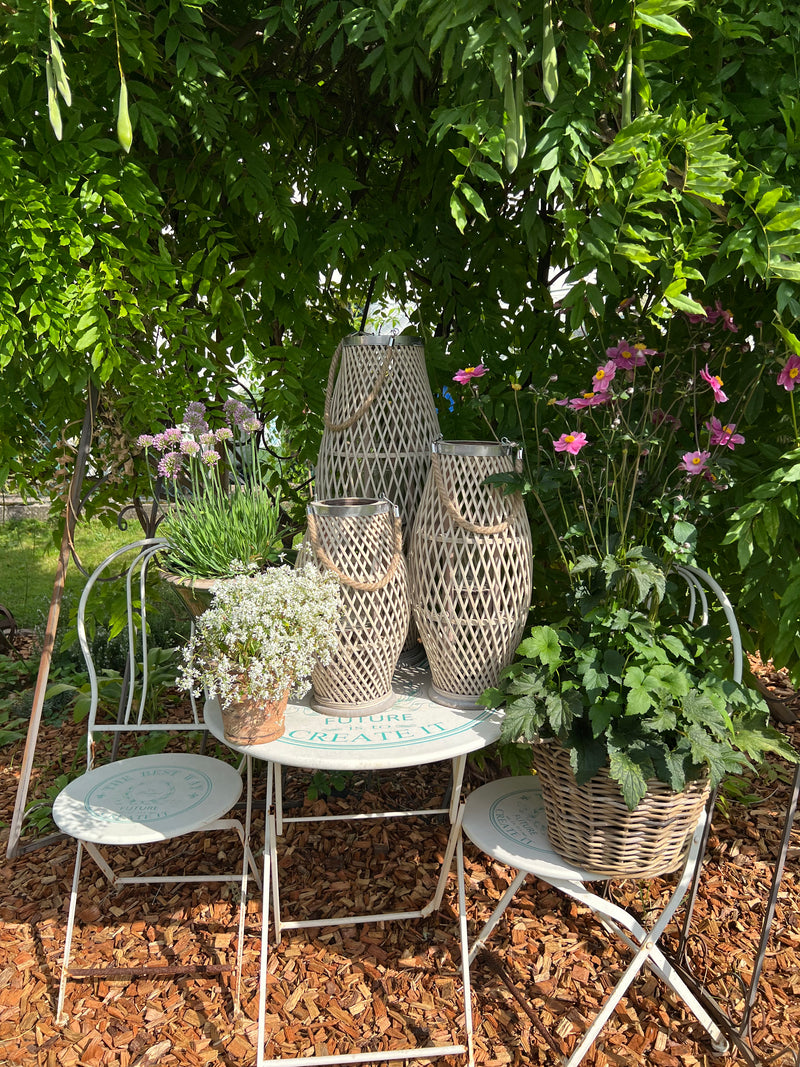 Pflanzschale Blumenschale Rattangeflecht Pflanzgefäß konisch Rattan-Umrandung 23cm hoch 32cm Durchmesser