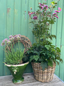 Pflanzschale Blumenschale Rattangeflecht Pflanzgefäß konisch Rattan-Umrandung 23cm hoch 32cm Durchmesser