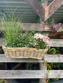 Balkonkasten Blumenschale Rattangeflecht Rattan Pflanzgefäß Blumenkasten rechteckig H/T/B: 15/21/46cm