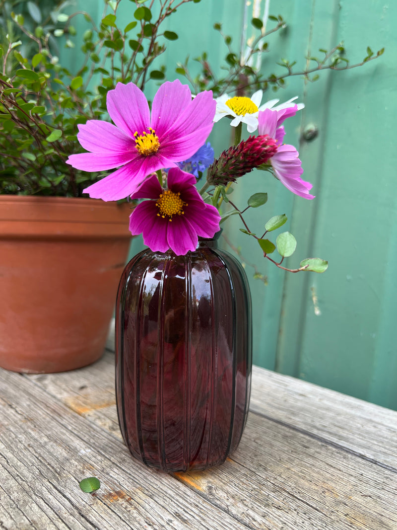 Glasvase JULIA Vase Blumenvase Pressglas Rillen hellbraun oder kirschrot H/dia: 12 / 7 cm