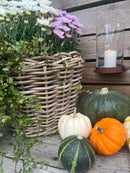 Pflanzschale Blumenschale Rattangeflecht Pflanzgefäß konisch Rattan-Umrandung 23cm hoch 32cm Durchmesser