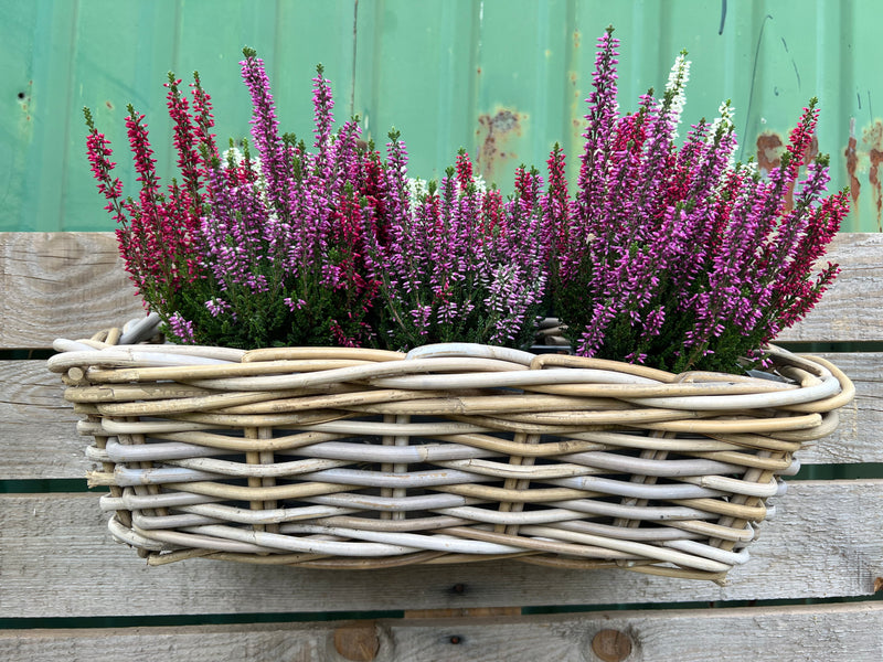 Balkonkasten Blumenschale Rattangeflecht Rattan Pflanzgefäß Blumenkasten rechteckig H/T/B: 15/21/46cm