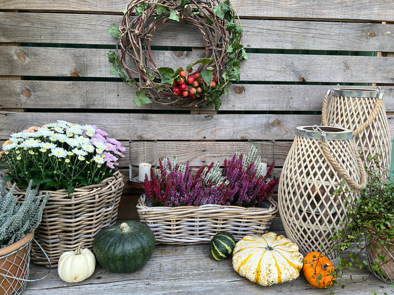 Pflanzschale Blumenschale Rattangeflecht Pflanzgefäß konisch Rattan-Umrandung 23cm hoch 32cm Durchmesser