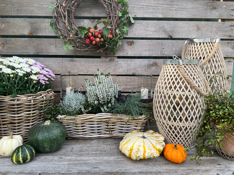 Pflanzschale Blumenschale Rattangeflecht Pflanzgefäß konisch Rattan-Umrandung 23cm hoch 32cm Durchmesser