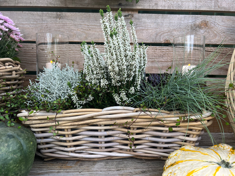 Balkonkasten Blumenschale Rattangeflecht Rattan Pflanzgefäß Blumenkasten rechteckig H/T/B: 15/21/46cm