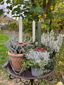 Kerzenhalter Blüte für Stabkerzen zum Stecken mit Stab Metall schwarz lackiert oder verrostet Advent Weihnachten Kranz