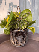 Körbchen Drahtkorb mit Blume Metall Eisendraht grau patiniert H/dia:20/10 cm