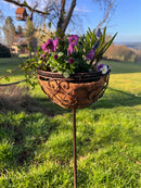 Pflanzschale MINA Pflanzkorb Blumenschale auf Stab Blumentopfständer Pflanzgefäß halbrund Metall dunkelbraun lackiert mit Ständer und 2 Spießen H/dia 80/25 cm