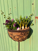 Pflanzschale MINA Pflanzkorb Blumenschale auf Stab Blumentopfständer Pflanzgefäß halbrund Metall dunkelbraun lackiert mit Ständer und 2 Spießen H/dia 80/25 cm
