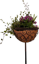 Pflanzschale MINA Pflanzkorb Blumenschale auf Stab Blumentopfständer Pflanzgefäß halbrund Metall dunkelbraun lackiert mit Ständer und 2 Spießen H/dia 80/25 cm