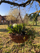 Pflanzschale Pflanzkorb Blumenschale zum Hängen Pflanzgefäß halbrund Metall Eisen verrostet mit 3 Ketten und Haken 50cm hoch 30cm Durchmesser