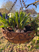 Pflanzschale Pflanzkorb Blumenschale zum Hängen Pflanzgefäß halbrund Metall Eisen verrostet mit 3 Ketten und Haken 50cm hoch 30cm Durchmesser