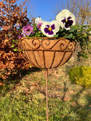 Pflanzschale Pflanzkorb Blumenschale auf Stab Blumentopfständer Pflanzgefäß rund Metall Eisen verrostet mit 3 Spießen 116cm hoch 30cm Durchmesser