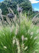 Gartenstecker FISCH  Metall Patina/Edelrost Stecker Gartendekoration Beet Stab Bodenstecker Spieß 108 cm hoch