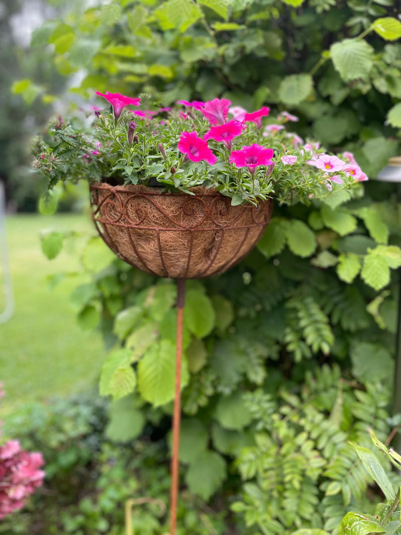 Pflanzschale Pflanzkorb Blumenschale auf Stab Blumentopfständer Pflanzgefäß rund Metall Eisen verrostet mit 3 Spießen 116cm hoch 30cm Durchmesser