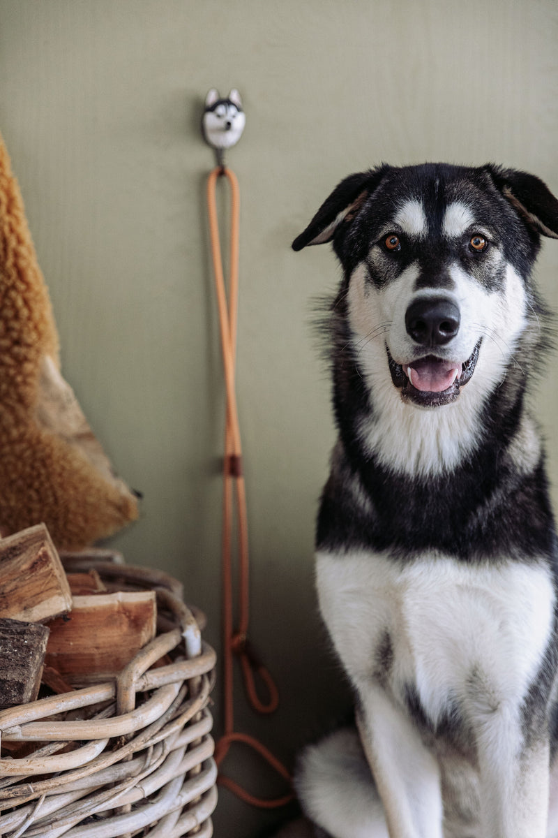 KLEIDERHAKEN SIBERIAN HUSKY Hund Garderobe Wandhaken massiv Landhaus Vintage handgeschnitzt und handbemalt Holz und Metall-Haken 11cm hoch