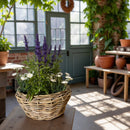 Pflanzschale Blumenschale Rattangeflecht Pflanzgefäß rund niedrig Rattan-Umrandung 18cm hoch 40cm Durchmesser