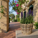 Pflanzschale Blumenschale Rattangeflecht Pflanzgefäß konisch Rattan-Umrandung 23cm hoch 32cm Durchmesser