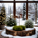 Gartenstecker STERN Metall mit Edelrost Stecker Gartendekoration Beet Stab Bodenstecker Edelrost Spieß 62 oder 86cm hoch