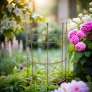 Staudenhalter Strauchhalter Staudenstütze Rankgerüst halbrund braun Rost Rankhilfe Metall Eisen Deko 50cm breit x 85cm hoch