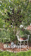 Windrad Discopropeller mit Edelrost Propeller Karussellpropeller Metall Eisen Rost Deko 212cm hoch 64cm Durchmesser