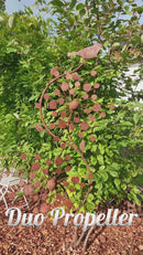 DUO Windrad Disco verrostet zwei Propeller mit Vogel Metall Eisen Rost Deko 190cm hoch 37cm Durchmesser