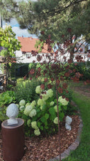 Windrad verrostet Propeller Blumen Blumenpropeller Metall Eisen Rost Deko 210cm hoch 60cm Durchmesser