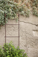 Rankgitter CLAVI Staudenstütze Rankgerüst braun Rost Rankhilfe Metall Eisen Deko H/B/T: 75/19/3 cm