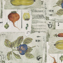 Wachstuchtischdecke PVC "Vihannes" 1,4m Br. Gemüse & Obst beige grün Wachstuch Meterware