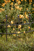 2-er Set Staudenhalter Staudenbinder Rankhilfe halbrund Rankhilfe 70cm br.Metall