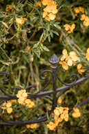 Staudenhalter Staudenbinder halbrund Rankhilfe 70cm breit Eisen braun